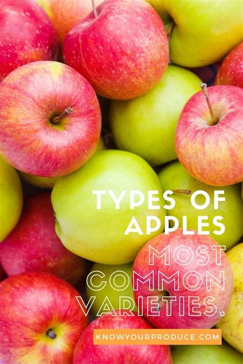 Types Of Apples Most Common Apple Varieties Know Your Produce