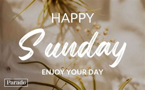 80 Happy Sunday Quotes For A Beautiful Positive Day Trendradars