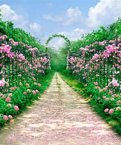 Fondo De Jardín De 8 X 10 Pies Con Rosas De Primavera Fondo De