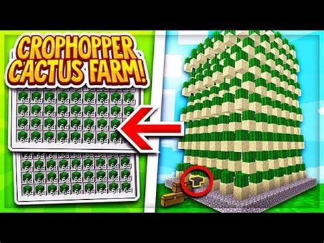 Cactus when smelted in the furnace gives you 0.2 exp points per cactus smelt, which is not a lot but if you do it in a industrial way, you can store insane amounts of experience in several furnaces over time. *NEW* AUTOMATIC CROPHOPPER CACTUS FARM! | Minecraft ...