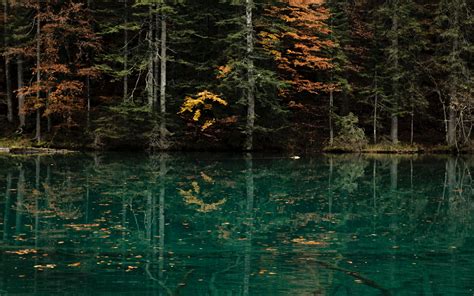 Download Wallpaper 3840x2400 Lake Trees Forest Water Shore 4k Ultra