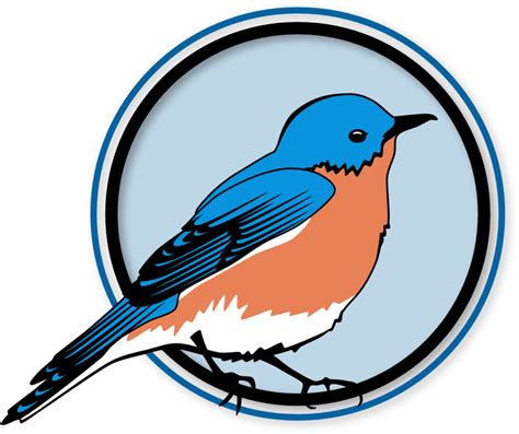 Illustration Eastern Bluebird Png Clipart Full Size Clipart 5558997