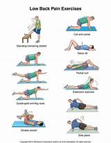 Back Rehab Exercises Pdf Pictures