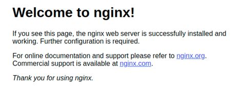 How To Manage And Use Nginx Virtual Host In Ubuntu Techvblogs