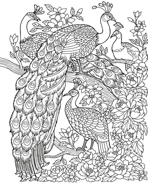 Freebie Friday Peacock Adult Coloring Book