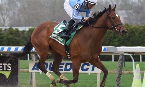 See what they are predicting today. Horse Racing Picks: Saturday October 24th | Total Sports Picks