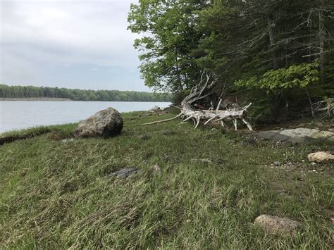 Middle Bays Crow Island Preserve A Quiet Oasis Harpswell Heritage