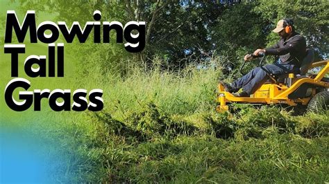 Mowing Tall Grass Overgrown Lot Youtube