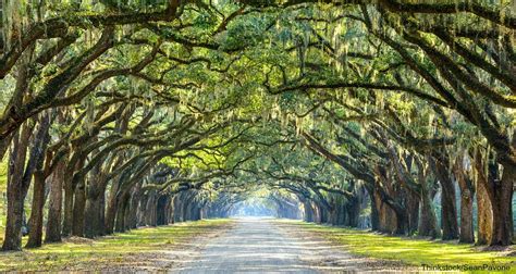 Maybe you would like to learn more about one of these? 7 of the Most Beautiful Parks and Squares in Savannah, GA ...