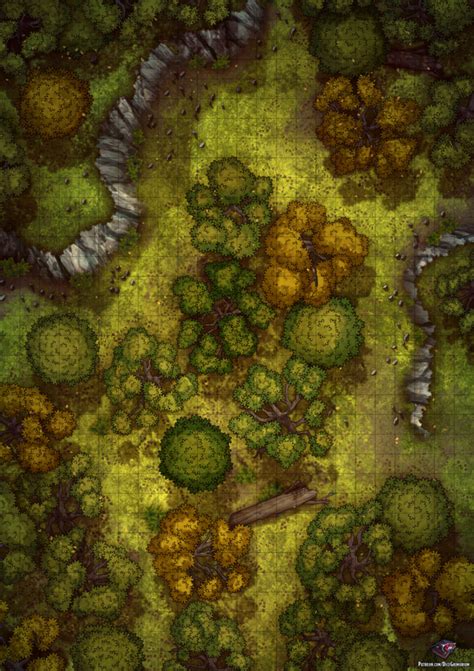 Dark Forest Dnd Forest Map Treasuredevil Wallpaper