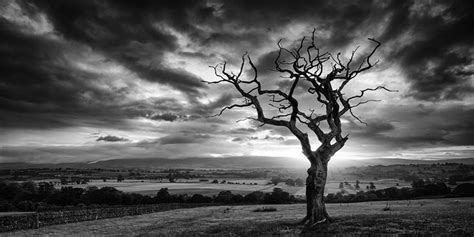Nature At Its Best Black And White Photography By Mark Little John