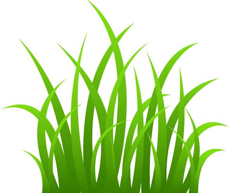 Grass Template For Kids Clipart Best