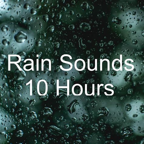 Rain Sounds 10 Hours Pt. 29_Meditation Rain Sounds、Rain Sounds & White