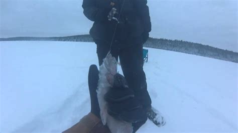 Ice Fishing on Lake Inga - YouTube