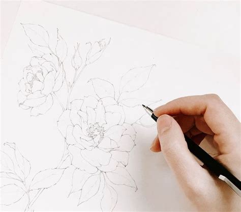 5 Astounding Exercises To Get Better At Drawing Ideas Flower Drawing