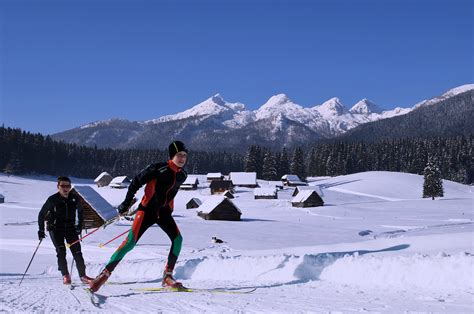 The Best Cross Country Skiing Terrain Is The Pokljuka Plateau