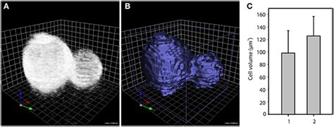 Three techniques have been proven to deliver excellent materials suitable for immunolabeling: Frontiers | Cell wall staining with Trypan blue enables ...