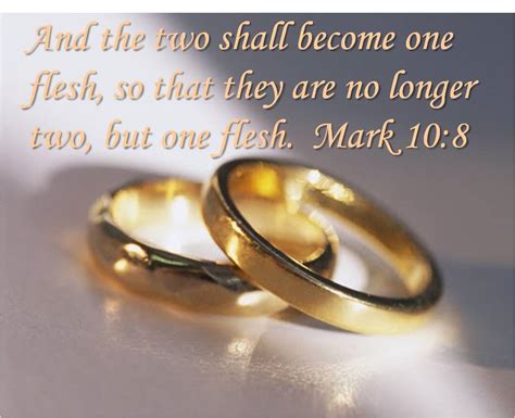Bible Quotes About Marriage Quotesgram
