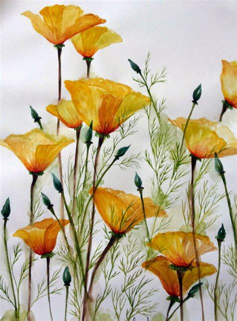 Singhroha Art Watercolors Watercolor Flowers Watercolor Poppies