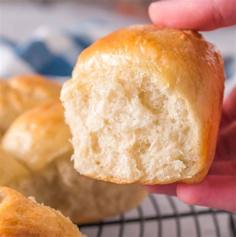 easy yeast rolls for beginners recipe in 2022 easy yeast rolls yeast rolls recipes
