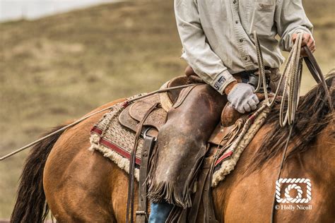 Photograph Of Ranch Work A Cowboy Partnership Holly Nicoll Photography