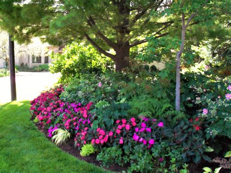 There are shade perennials that will thrive without sun. Bloomington, MN - River Bluff Shade Garden Retreat ...