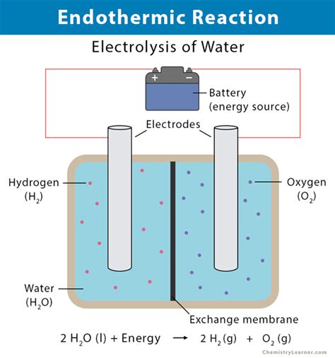 Endothermic Reaction Definition Equation Graph And Examples