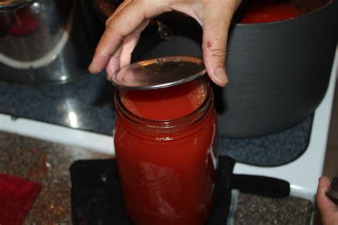 tomato juice canning recipe fresh making simple lids jars easy garden wipe place oldworldgardenfarms food