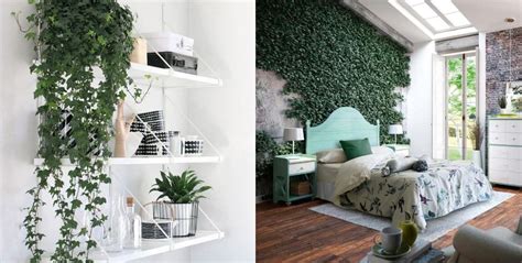 Decoración natural con plantas de interior y madera. Motivos por los cuales debes decorar tu hogar con plantas ...