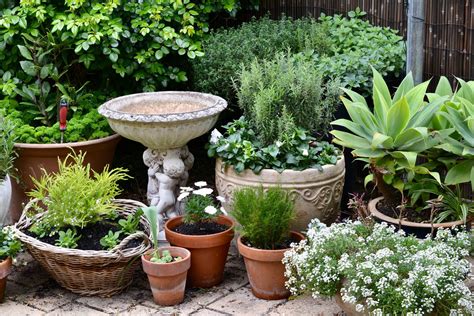 Small Courtyard Small Courtyards Container Gardening Bird Bath