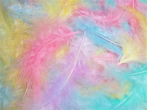 Pastel Feathers Pastel Aesthetic Pastel Rainbow Cotton Candy Colors