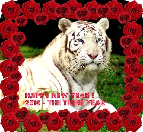 May the new year bring much better things. 14. Chinese New Year "XIN NIAN KUAI LE" | Segundo uma antiga len… | Flickr