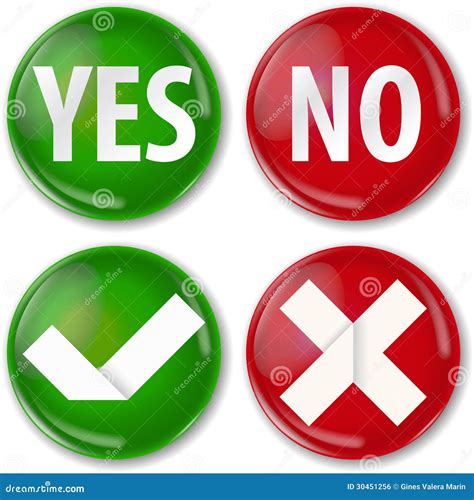 Yes Or No Stock Vector Illustration Of Checkbox True 30451256