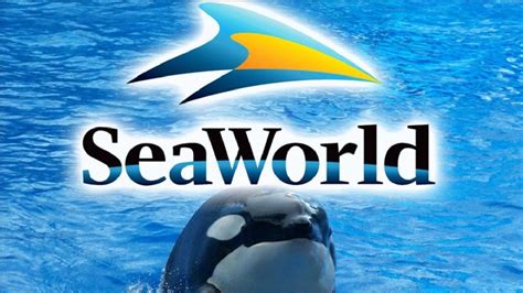 Seaworld To End Orca Breeding Program Keye