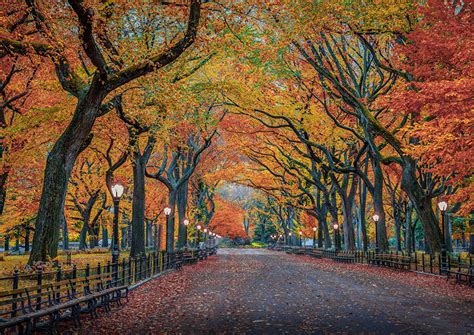 Pictures New York City Usa Autumn Nature Parks Trees