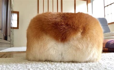 The Perfect Loaf Cutetropolis