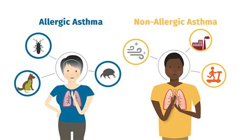 Myth Busting 5 Facts About Allergic Asthma That May Surprise You Hatter Network
