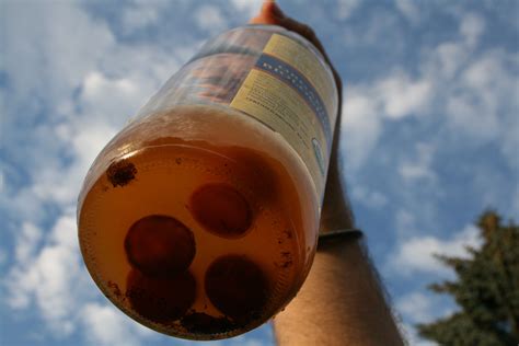 Mother Of Vinegar Forming At The Bottom Of A Non Processed Apple Cider Vinegar Apple Cider
