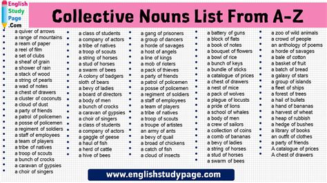 Collective Nouns List From A Z In English English Study Page