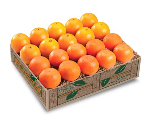 Mandarin Navel Oranges T Box Florida T Fruit Shipping Hyatt