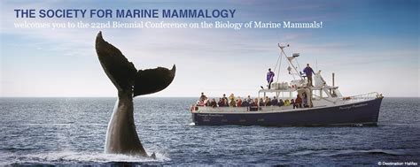 Society For Marine Mammalogy Nammco