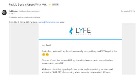Lyfe Email Marketing Case Study Lyfe Marketing