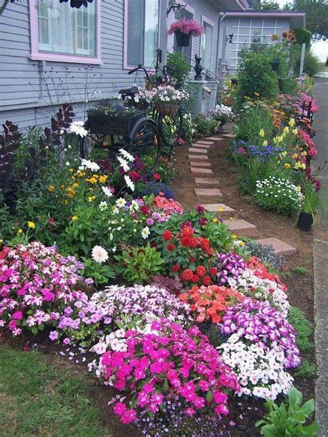 Maybe you would like to learn more about one of these? List of best flowering perennials plants that do well in ...