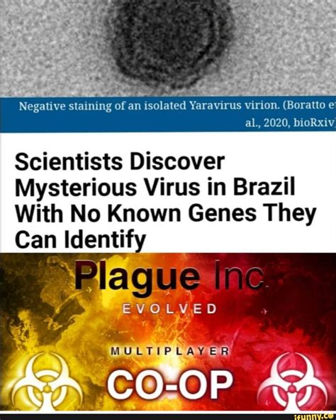 ESTES Staining Of An Isolated Yaravirus Moet Scientists Discover Mysterious Virus In Brazil With