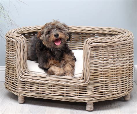 Cane Rattan Dog Bed Large With Cushion