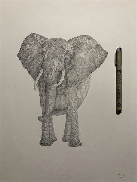 Elephant Stippling I Finished A Short While Ago 11x17 Just Over 30