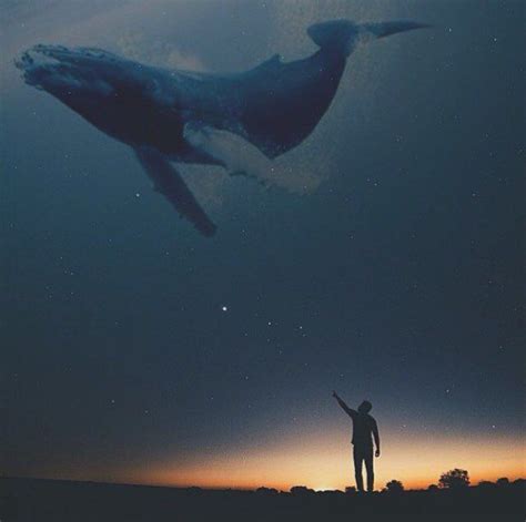 Whale In The Sky With Diamonds Kim Photo By Hightom Surreal