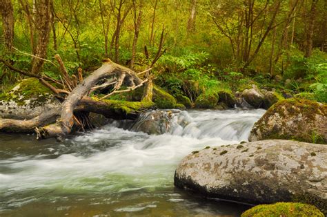 River Scenic Spot Free Stock Photo Public Domain Pictures