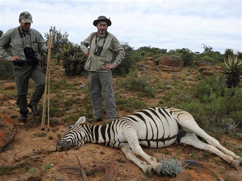 Big Game Hunting Group ‘using Influence On Conservation Watchdogs To