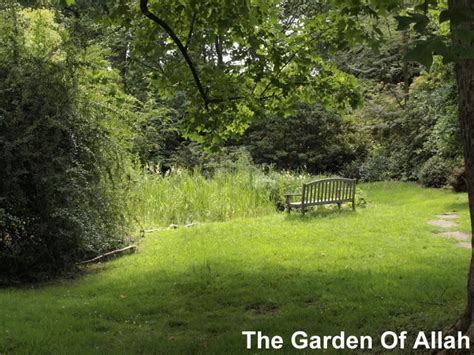 borde hill west sussex gardens and shows blog oak leaf gardening